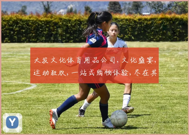 大发文化体育用品公司,文化盛宴,运动狂欢,一站式购物体验,尽在其中,品质保证