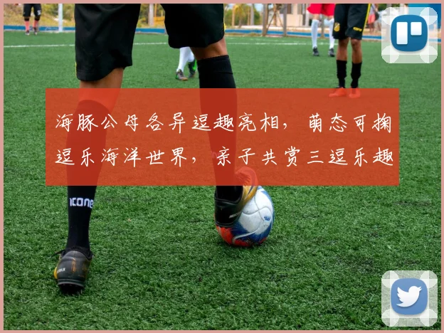 海豚公母各异逗趣亮相，萌态可掬逗乐海洋世界，亲子共赏三逗乐趣多多